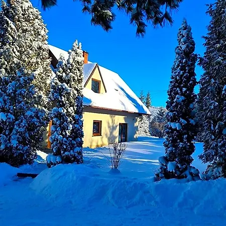 Forest House Hotell *