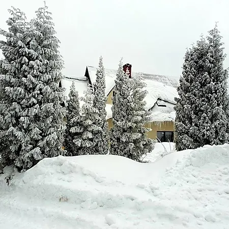 Hotell Forest House Lubomierz (Lesser Poland)