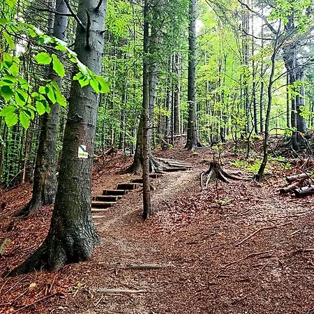 Forest House * Lubomierz (Lesser Poland)