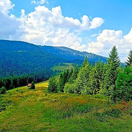 Forest House Hotell Lubomierz (Lesser Poland)