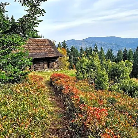 Forest House * Lubomierz (Lesser Poland)