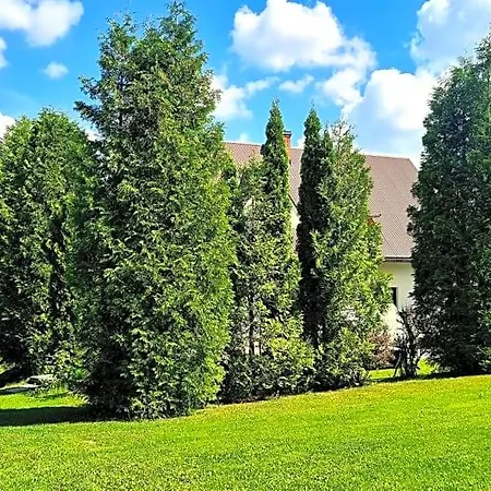 Forest House Lubomierz (Lesser Poland)